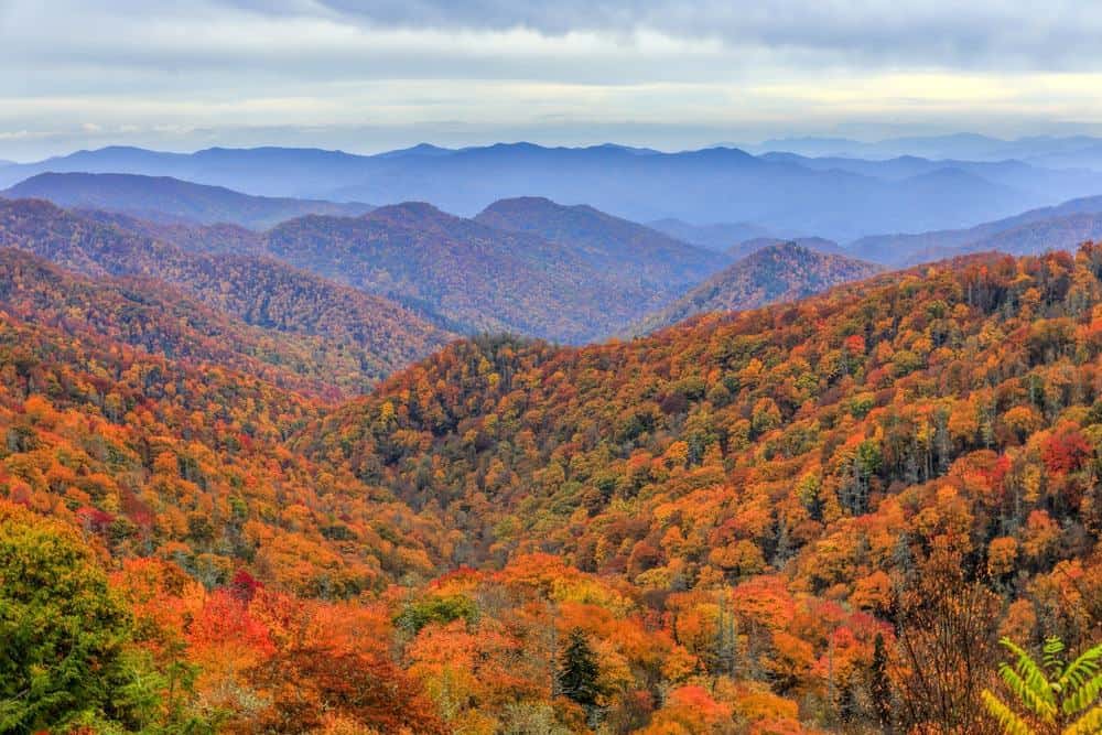 Fall Is Here — Where to Go Using Points to See the Beauty!!