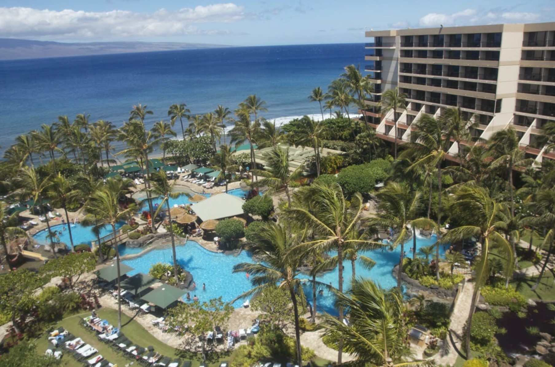 Marriott Vacation Club Owners — Important Dates Are Coming Up – Get ...